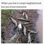 1729106306665.png