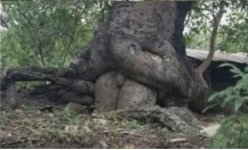 IMG_2655.jpeg
