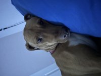 IMG_2656.jpeg