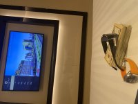 IMG_2684.jpeg