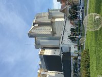 IMG_2736.jpeg