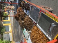 IMG_2715.jpeg