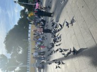 IMG_2724.jpeg