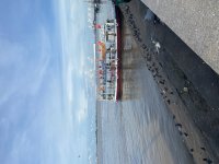 IMG_2731.jpeg