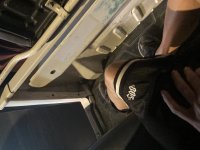 IMG_2929.jpeg