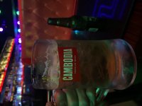 IMG_2935.jpeg