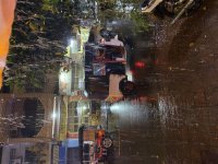 IMG_2936.jpeg
