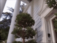 IMG_9620.gif