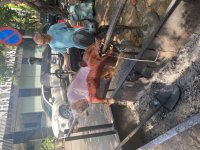 IMG_3048.jpeg