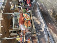 IMG_3049.jpeg