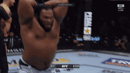 1729957641513.gif