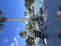 IMG_2687.jpeg