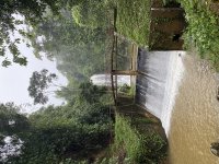IMG_3115.jpeg