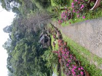 IMG_3107.jpeg