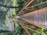 IMG_3105.jpeg