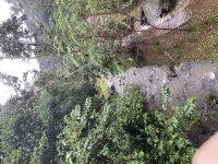 IMG_3104.jpeg