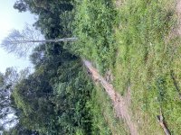 IMG_3102.jpeg