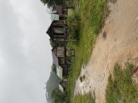 IMG_3101.jpeg
