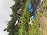 IMG_3100.jpeg