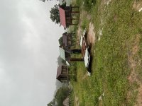 IMG_3098.jpeg
