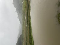 IMG_3092.jpeg
