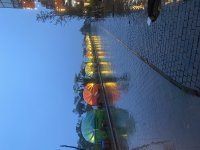 IMG_3116.jpeg