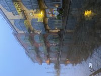IMG_3124.jpeg