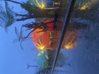 IMG_3121.jpeg