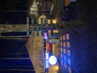 IMG_3160.jpeg