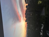 IMG_2688.jpeg