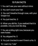 1730133394324.png