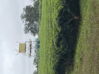 IMG_3323.jpeg