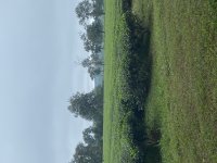 IMG_3322.jpeg