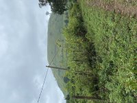 IMG_3346.jpeg