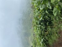IMG_3325.jpeg