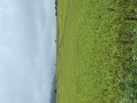 IMG_3347.jpeg