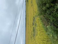 IMG_3348.jpeg