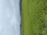IMG_3350.jpeg