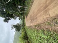 IMG_3345.jpeg