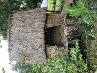IMG_3333.jpeg