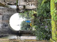 IMG_3335.jpeg