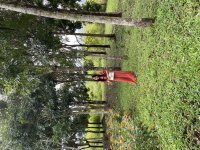 IMG_3338.jpeg