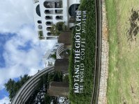 IMG_3446.jpeg