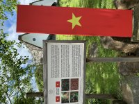 IMG_3441.jpeg