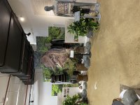 IMG_3433.jpeg