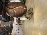 IMG_3431.jpeg