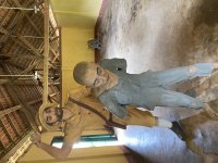 IMG_3460.jpeg