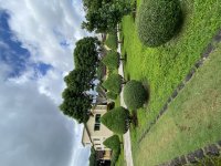 IMG_3461.jpeg