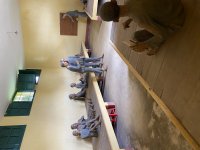 IMG_3467.jpeg