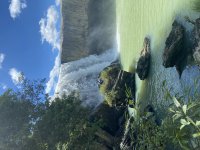 IMG_3515.jpeg
